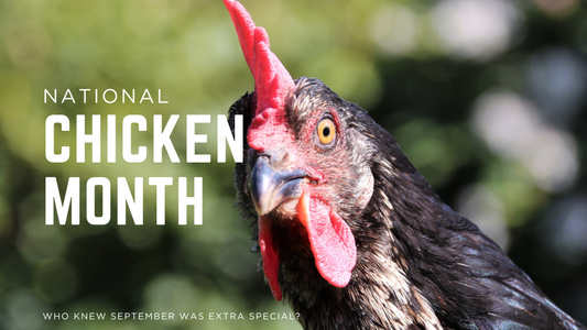 ๐ National Chicken Month is Hereโฆ Letโs Get Clucky! ๐