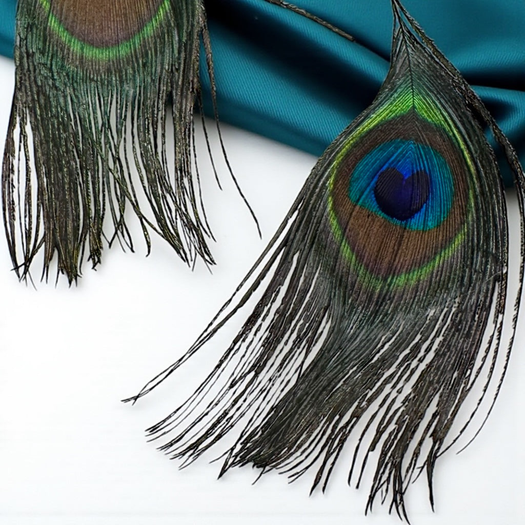 Elevate Your Style with Our Peacock Feather Dangle Earrings!