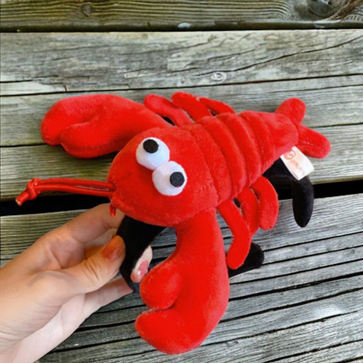 Crawfish Headband: Embrace Your Inner Crustacean! - Rhythms of Grace Creative