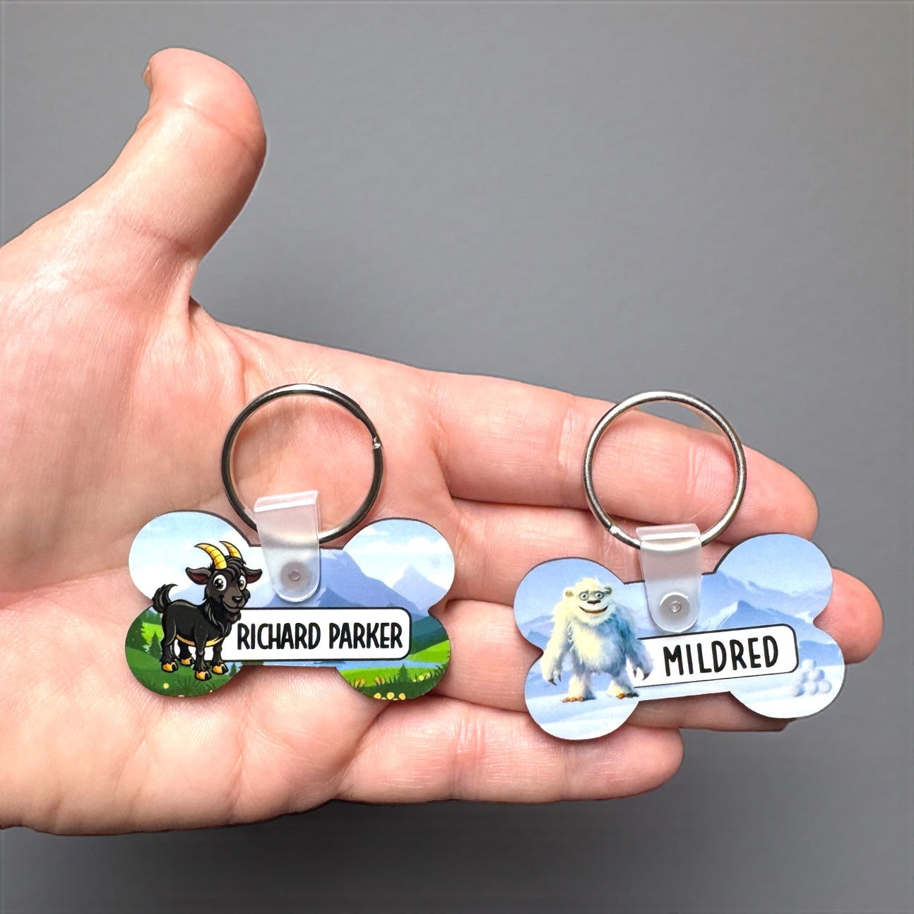 Personalized Cartoon Pet Tags | Custom Artist-Created Pet ID Tag