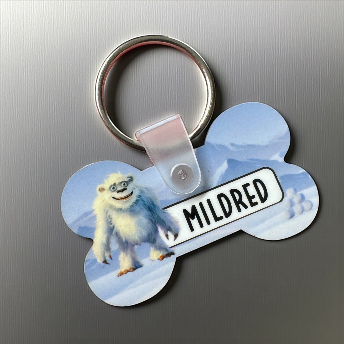 Personalized Cartoon Pet Tags | Custom Artist-Created Pet ID Tag
