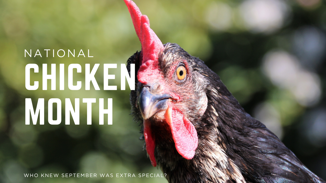 🐔 National Chicken Month is Here… Let’s Get Clucky! 🐔