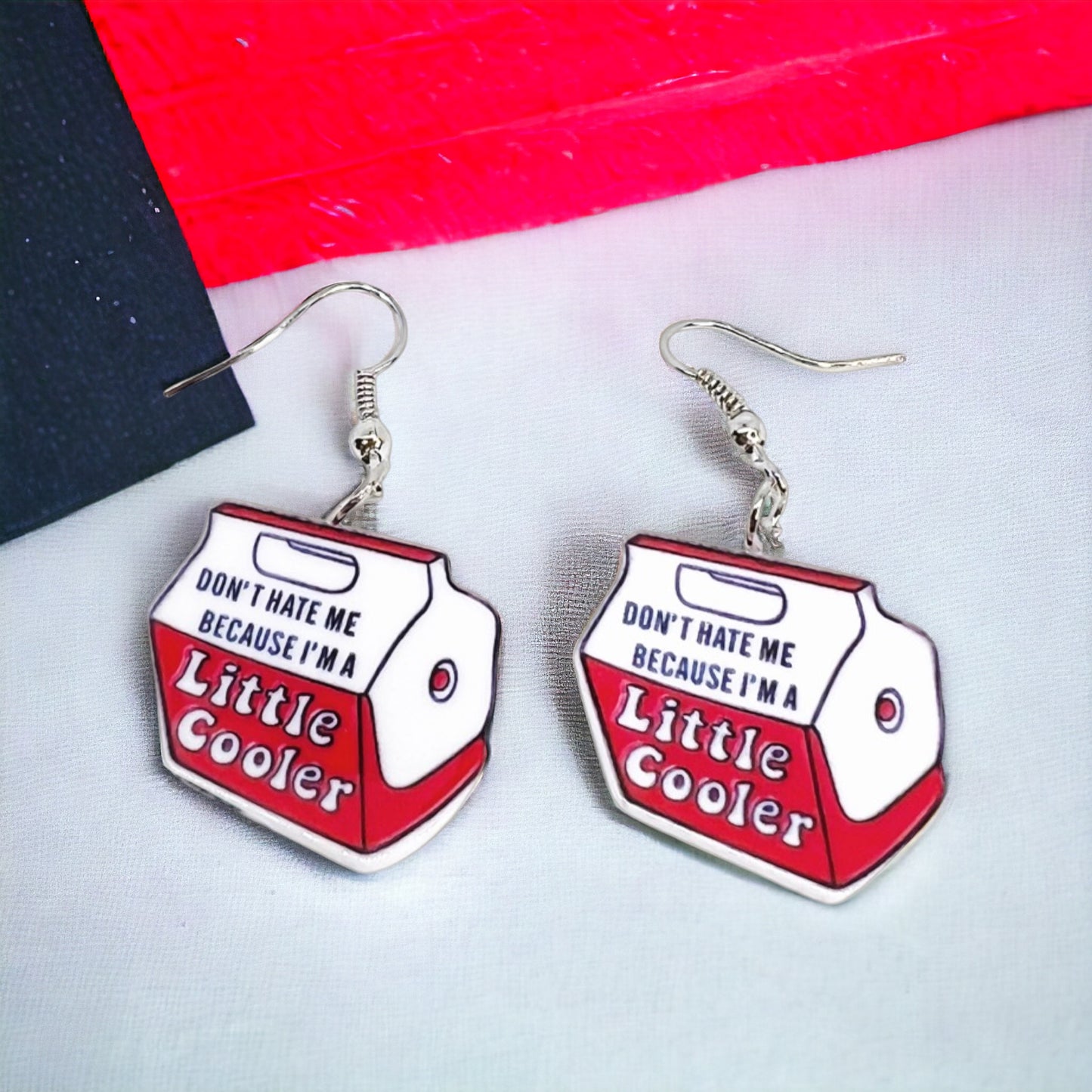 Don’t Hate Me ’Cause I’m a Little Cooler – Punny Earrings