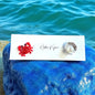 Crab & Sea Shell Stud Earrings – Ocean Chic Awaits!