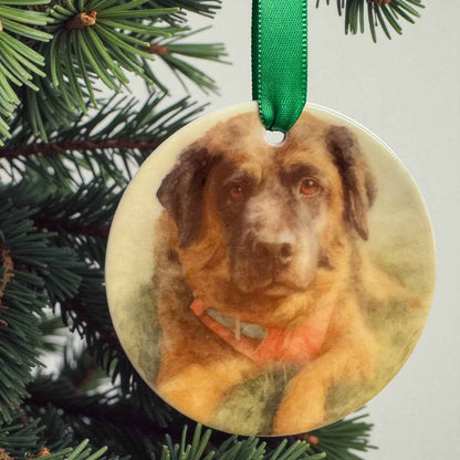 Rainbow Bridge Animal Memorial Ornament – A Heartfelt Keepsake for Cherished Pets