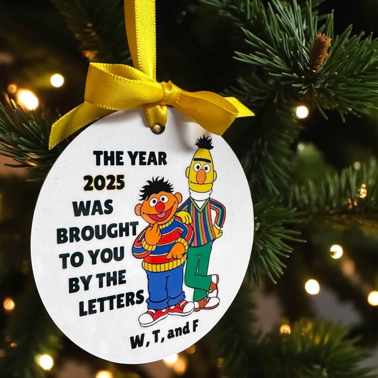 “The Year 2025 Was Brought to You By the Letters W, T & F” Ornament | Funny Bert & Ernie Christmas Ornament
