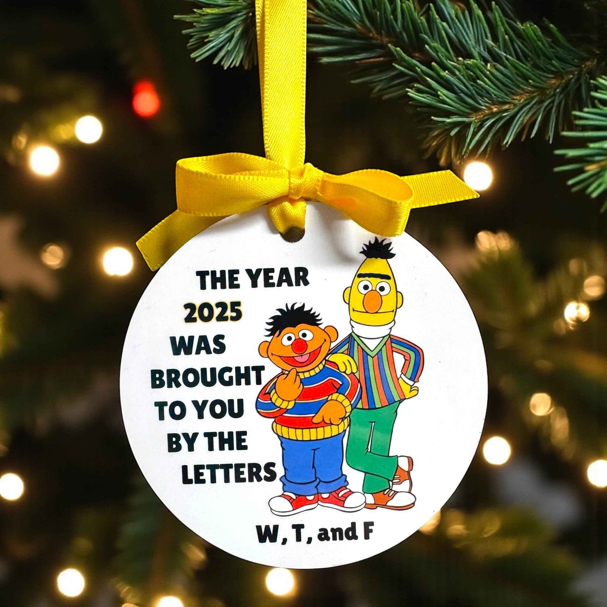 “The Year 2025 Was Brought to You By the Letters W, T & F” Ornament | Funny Bert & Ernie Christmas Ornament